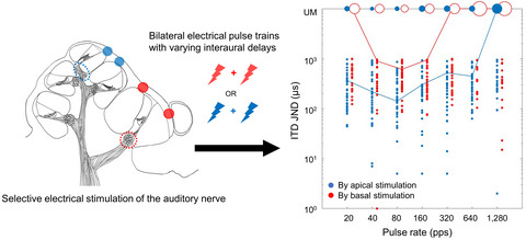 Effects of place of stimulation on the interaural time difference sensitivity in bilateral electrical intracochlear stimulations: Neurophysiological study in a rat model