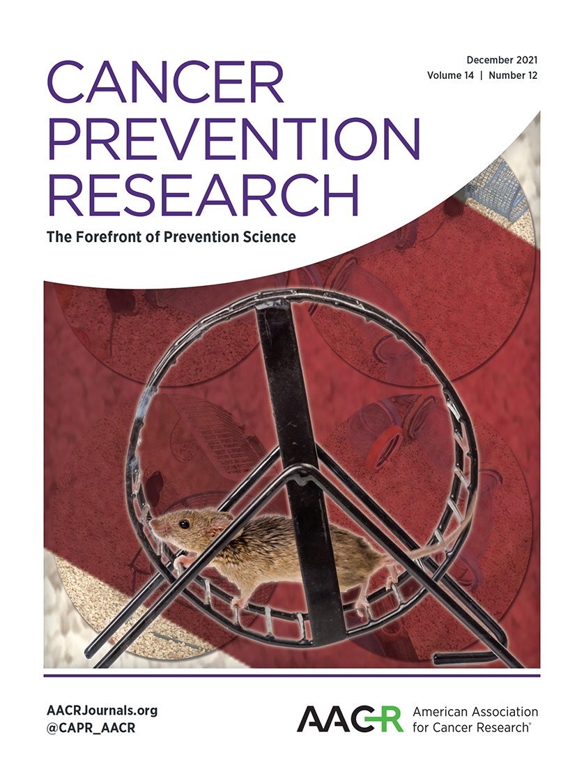 Environmental Enrichment Mitigates Age-Related Metabolic Decline and Lewis Lung Carcinoma Growth in Aged Female Mice