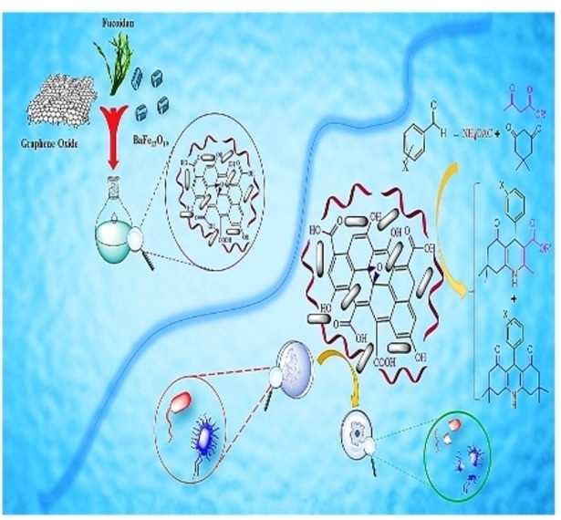 Preparation, Antibacterial Activity, and Catalytic Application of Magnetic Graphene Oxide‐Fucoidan in the Synthesis of 1,4‐Dihydropyridines and Polyhydroquinolines