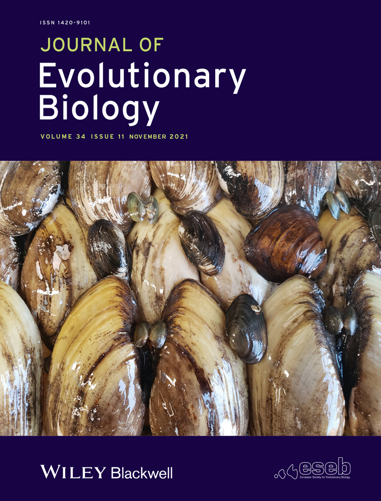 Mutation accumulation in inbreeding populations under evolution of the selfing rate