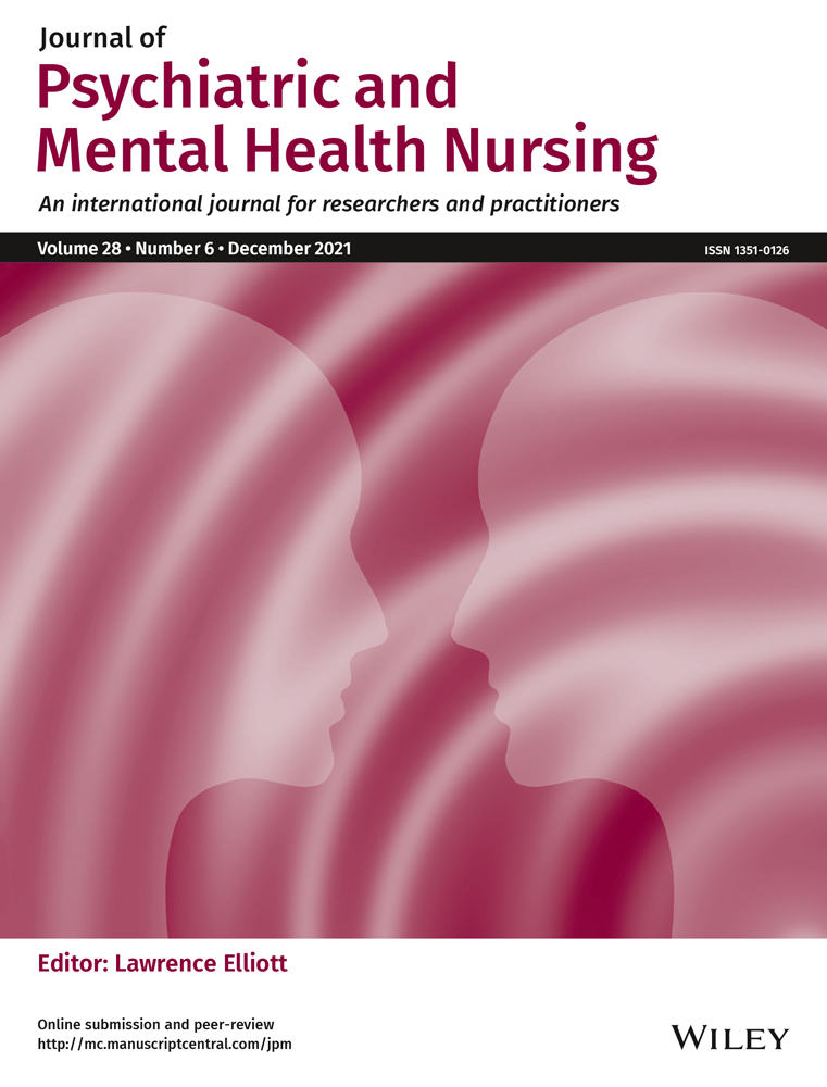 Mental health nursing and the theory‐practice gap: civil war and intellectual self‐injury