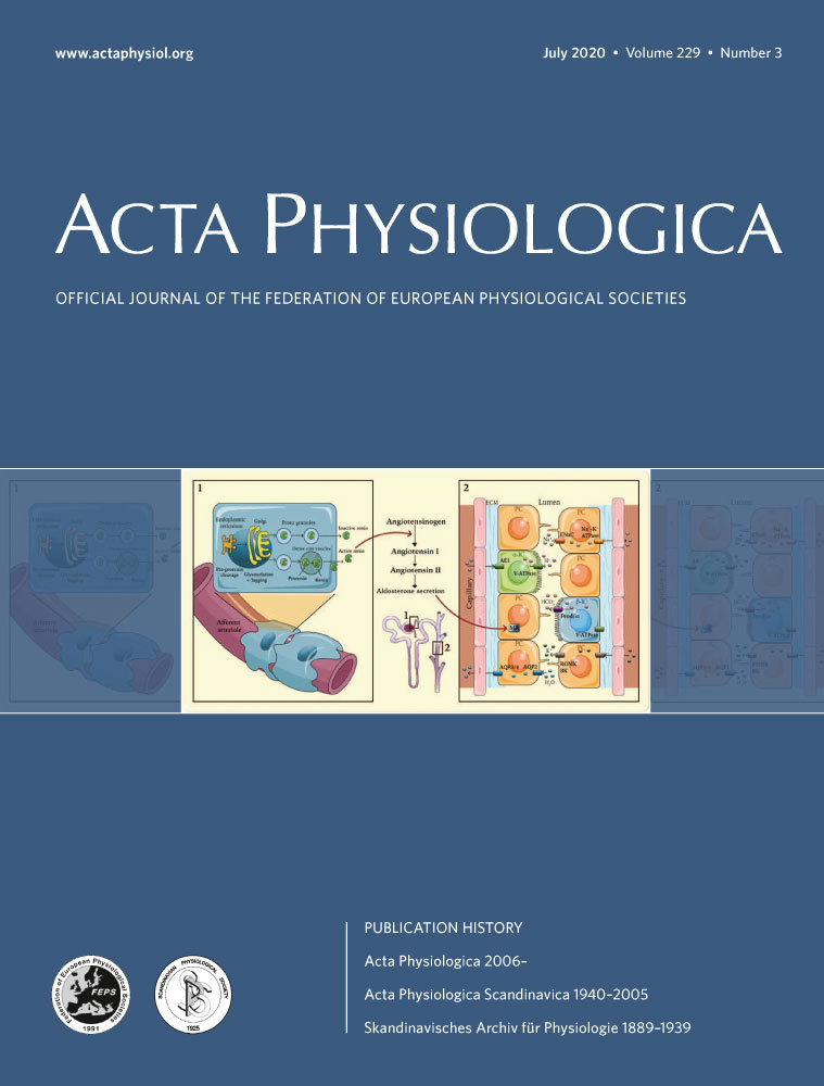 Neuroinfection may contribute to pathophysiology and clinical manifestations of COVID‐19