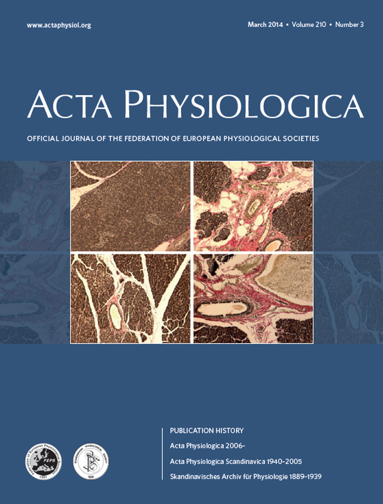 Measurement of skeletal muscle radiation attenuation and basis of its biological variation