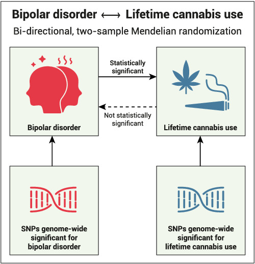 Bipolar disorder and cannabis use: A bidirectional two‐sample Mendelian randomization study