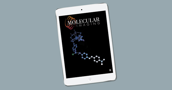 From the Outside in: An Overview of Positron Imaging of Plant and Soil Processes