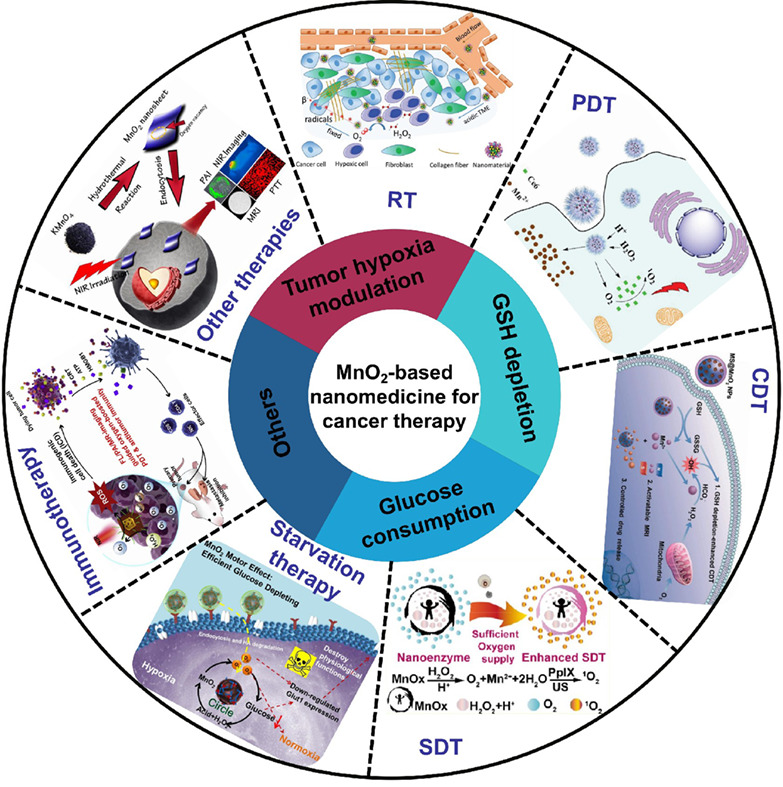 Multifunctional MnO2 nanoparticles for tumor microenvironment modulation and cancer therapy