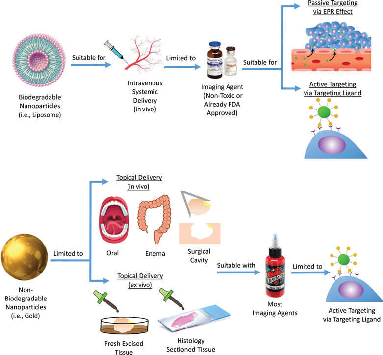 A path toward the clinical translation of nano‐based imaging contrast agents