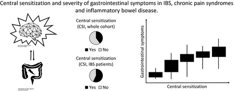 Central sensitization and severity of gastrointestinal symptoms in irritable bowel syndrome, chronic pain syndromes, and inflammatory bowel disease