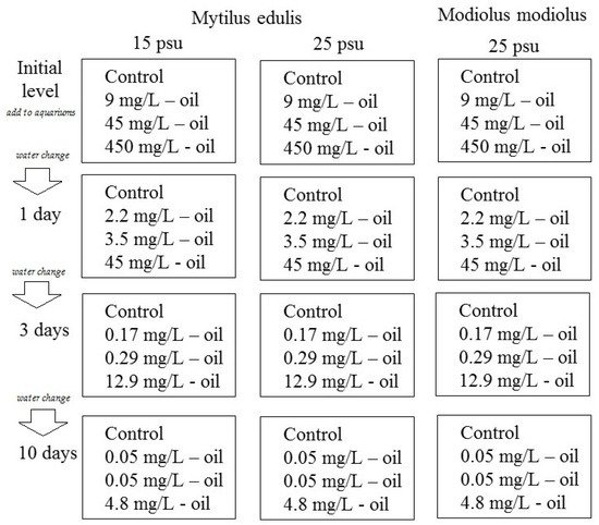 JoX, Vol. 11, Pages 46-60: Changes of Heart Rate and Lipid Composition in Mytilus Edulis and Modiolus Modiolus Caused by Crude Oil Pollution and Low Salinity Effects