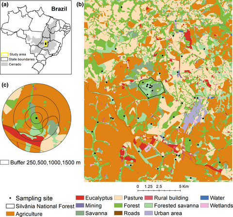 Landscape structure and local variables affect plant community diversity and structure in a Brazilian agricultural landscape