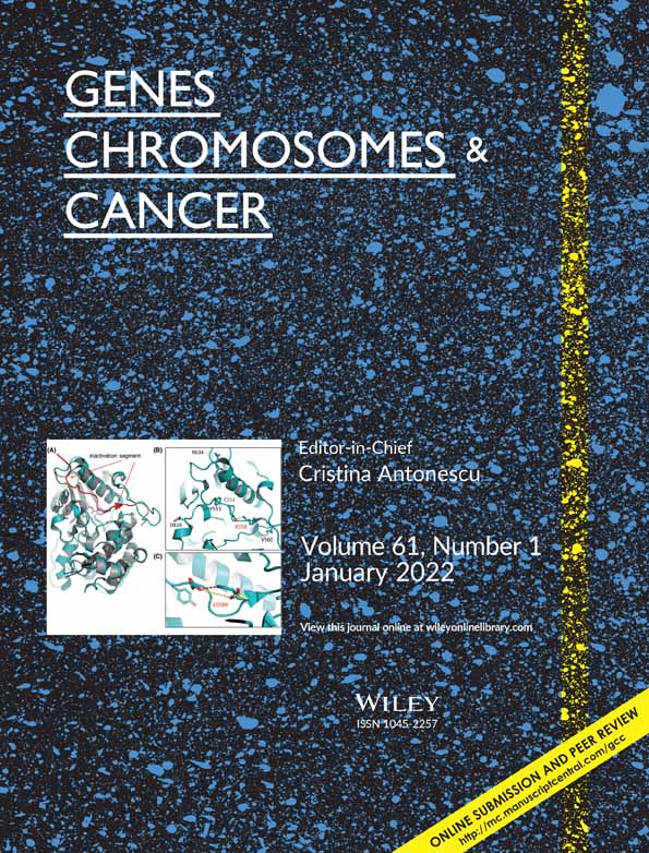 A YAP1::TFE3 Cutaneous Low‐Grade Fibromyxoid Neoplasm: A Novel Entity!