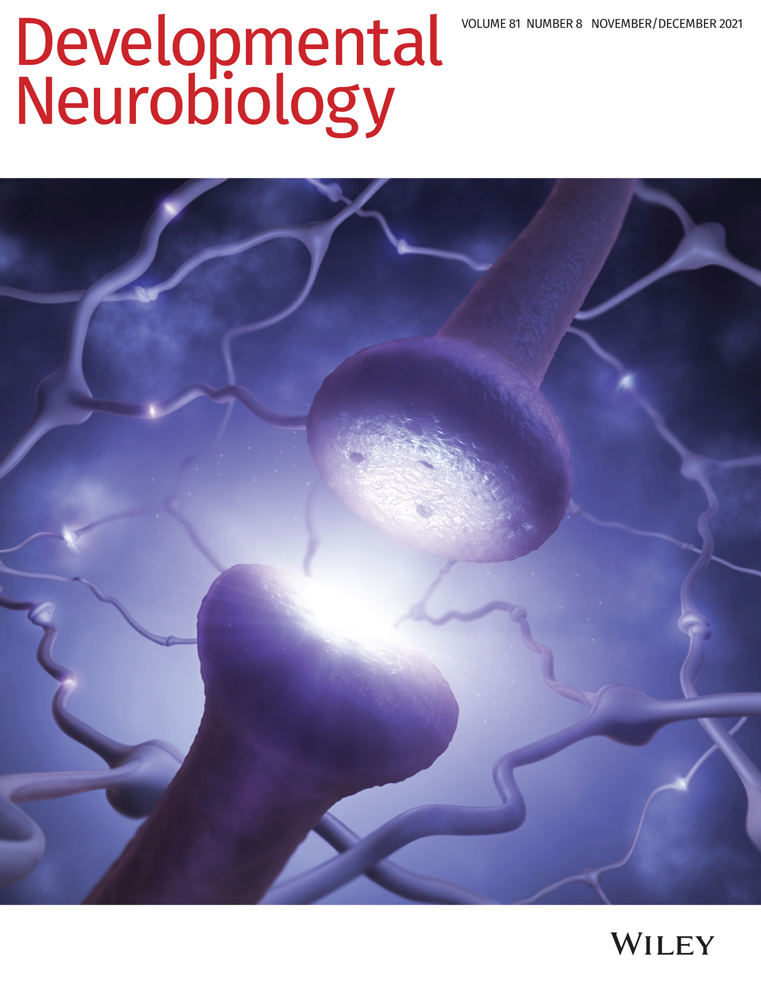 The origin and repopulation of microglia