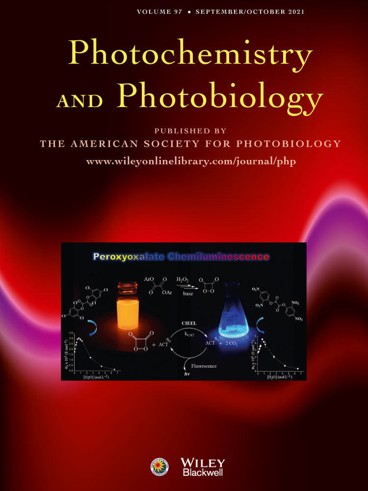 Unlocking the Potential of Ru(II) Dual‐Action Compounds with the Power of the Heavy Atom Effect