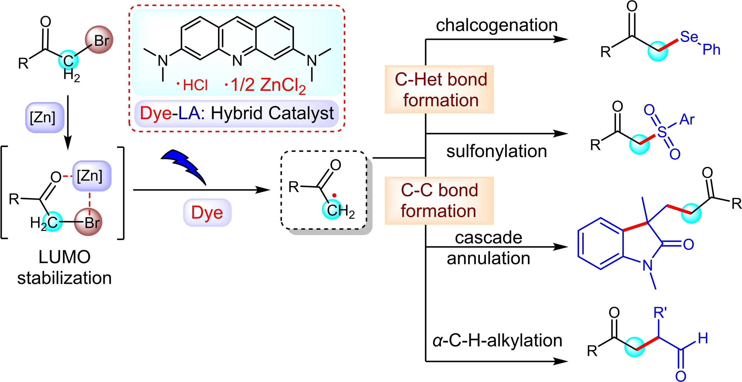 Acridine Orange Hemi(Zinc Chloride) Salt as a Lewis Acid‐Photoredox Hybrid Catalyst for the Generation of α‐Carbonyl Radicals