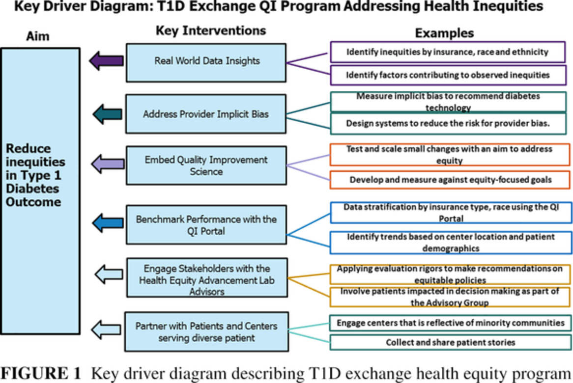 Addressing type 1 diabetes health inequities in the United States: Approaches from the T1D Exchange QI Collaborative