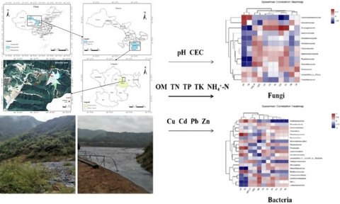 Characteristics and diversity of microbial communities in lead–zinc tailings under heavy metal stress in north‐west China