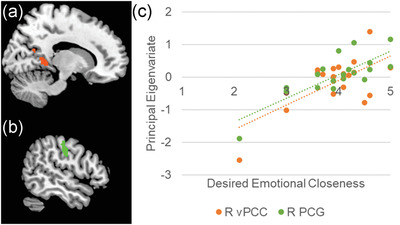 Interpersonal context and desired emotional closeness in neural response to negative visual stimuli: Preliminary findings