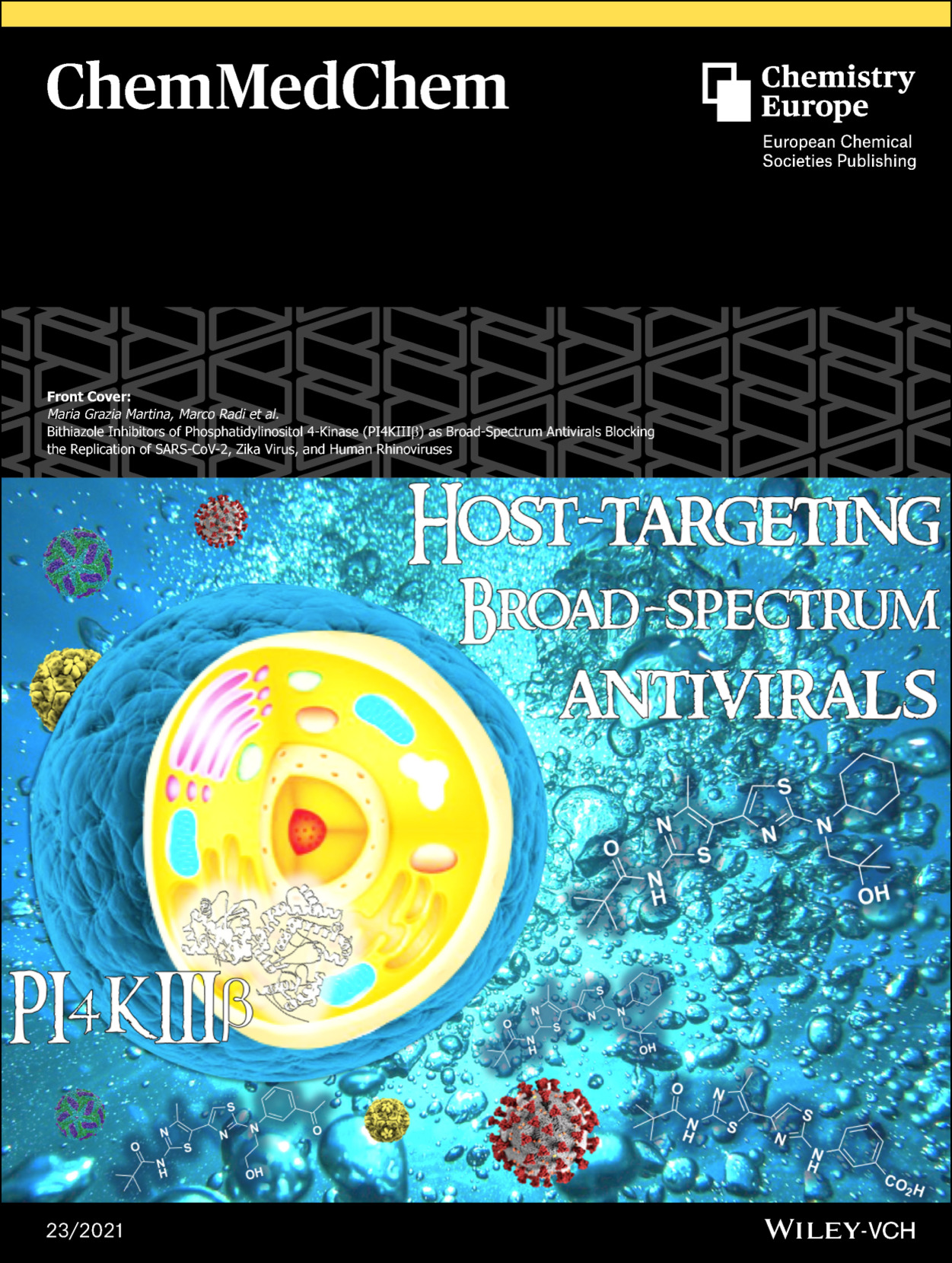 Front Cover: Bithiazole Inhibitors of Phosphatidylinositol 4‐Kinase (PI4KIIIβ) as Broad‐Spectrum Antivirals Blocking the Replication of SARS‐CoV‐2, Zika Virus, and Human Rhinoviruses (ChemMedChem 23/2021)