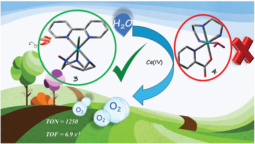 Half‐sandwich ruthenium complex with a very low overpotential and excellent activity for water oxidation under acidic conditions