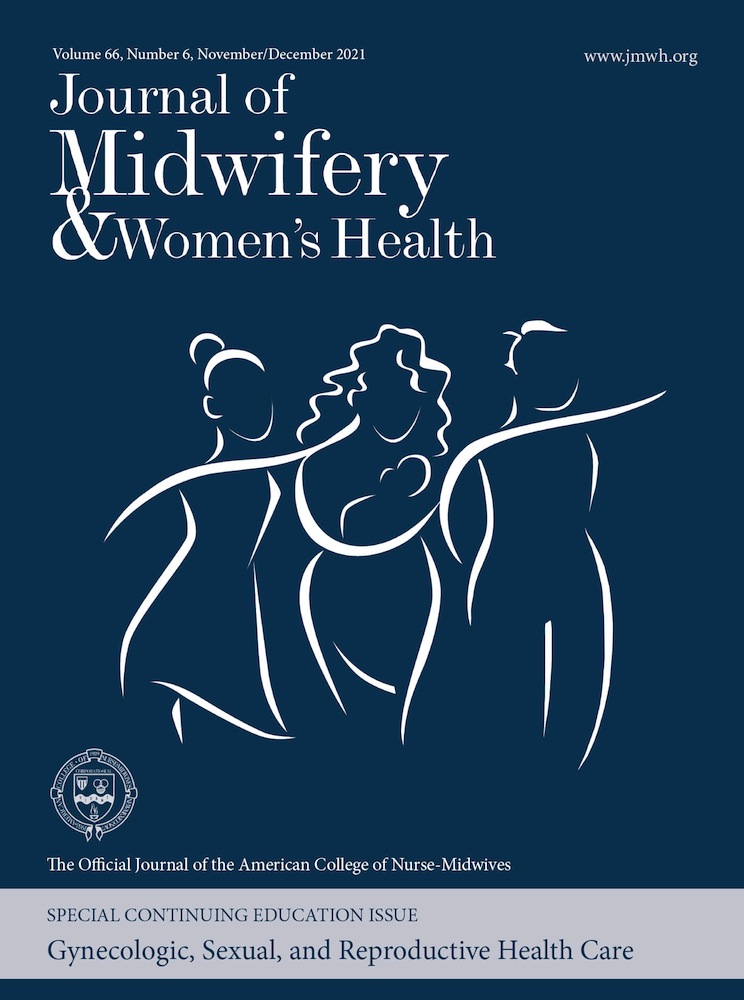 Developing a Comprehensive Midwifery Assessment Tool: Seeing the Whole Person