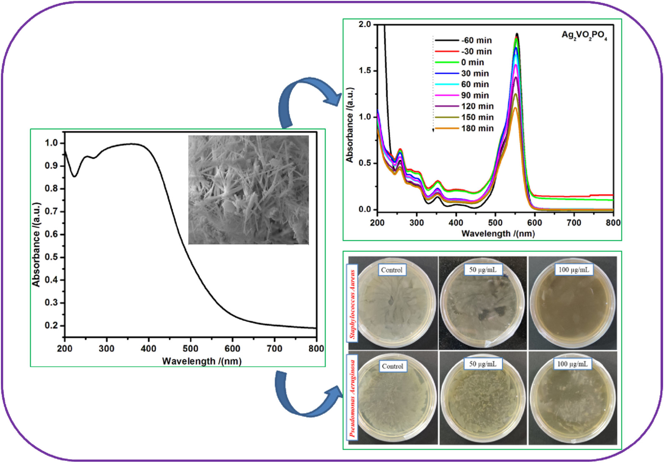 Ag2VO2PO4 Nanorods: Synthesis, Characterization, Photoactivity and Antibacterial activity