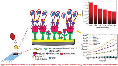 Highly sensitive and selective acute myocardial infarction detection using aptamer‐tethered MoS2 nanoflower and screen‐printed electrodes