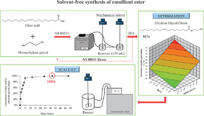 Optimization, kinetic, and scaling‐up of solvent‐free lipase‐catalyzed synthesis of ethylene glycol oleate emollient ester