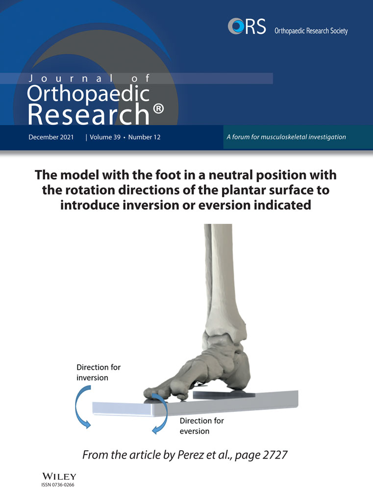 Posterior tibial tendon dysfunction alters the midfoot mechanics and energetics during gait.