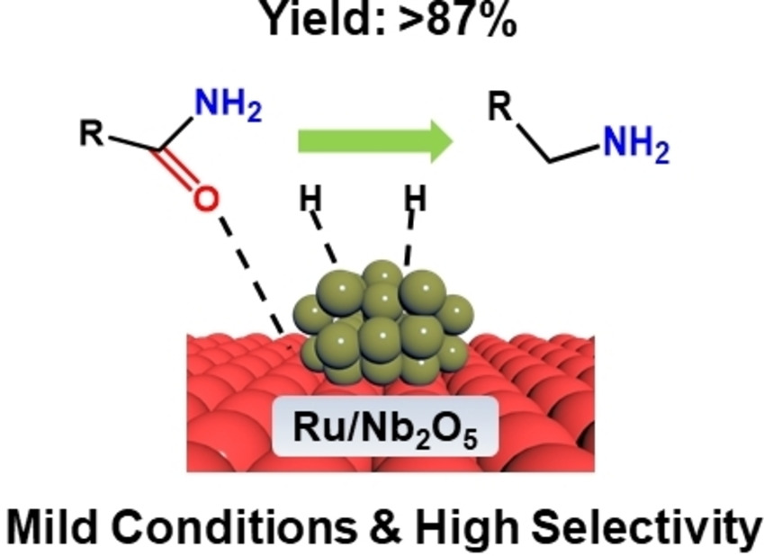 Highly selective synthesis of primary amines from amide over Ru‐Nb2O5 catalysts