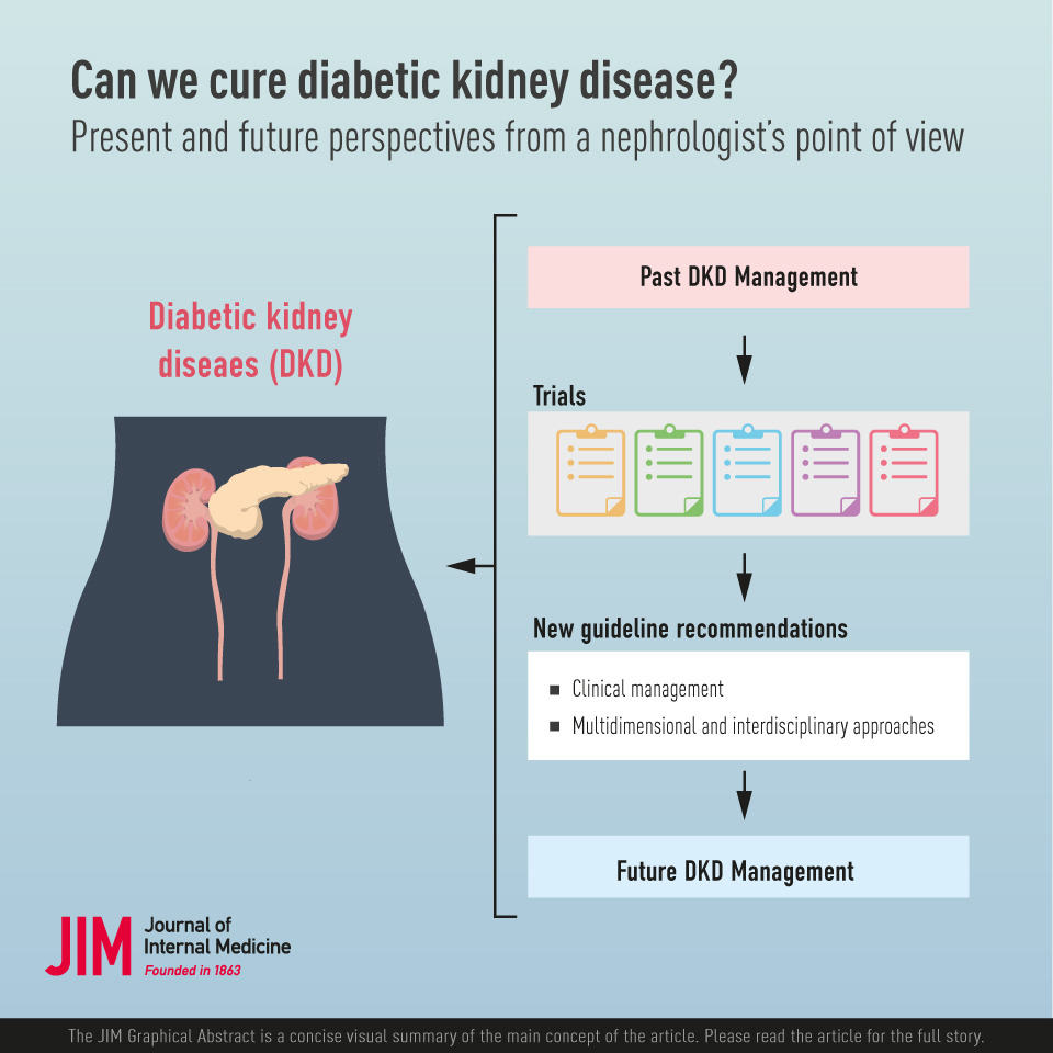 Can we cure diabetic kidney disease? Present and future perspectives from a nephrologist's point of view
