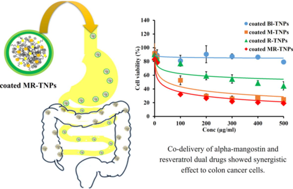 Alpha‐mangostin and resveratrol, dual‐drugs‐loaded mucoadhesive thiolated chitosan‐based nanoparticles for synergistic activity against colon cancer cells
