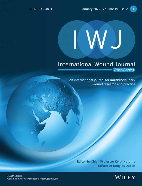 Clinical validation of an artificial intelligence‐enabled wound imaging mobile application in diabetic foot ulcers