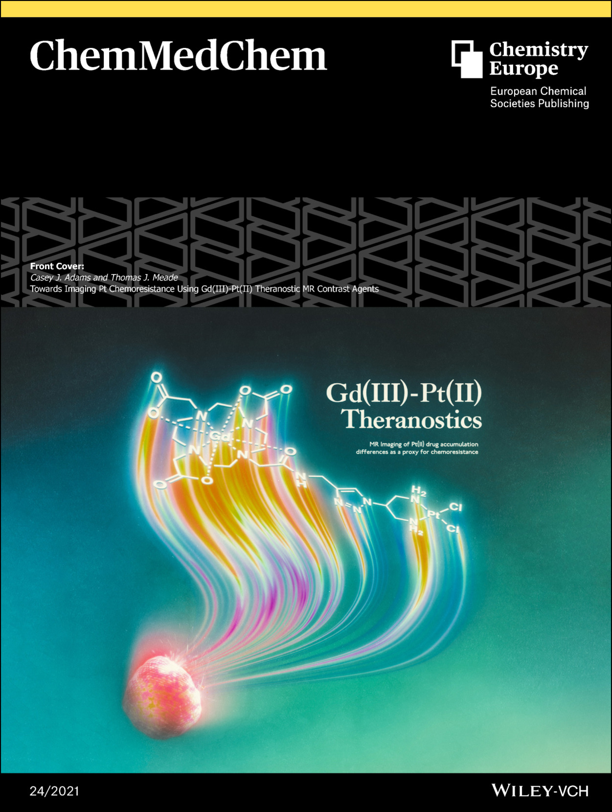 Front Cover: Towards Imaging Pt Chemoresistance Using Gd(III)‐Pt(II) Theranostic MR Contrast Agents (ChemMedChem 24/2021)