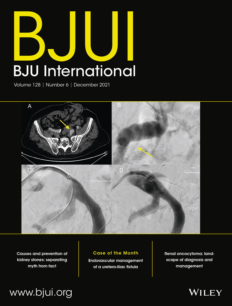 Clinicopathologic predictors of finding additional inguinal lymph node metastases in penile cancer patients following positive dynamic sentinel node biopsy: a European multicentre evaluation