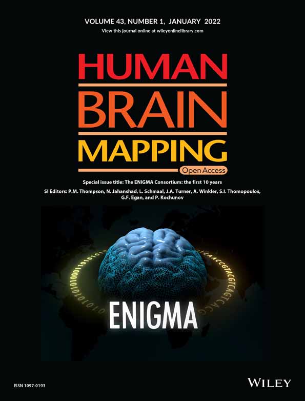 The ENIGMA Stroke Recovery Working Group: Big data neuroimaging to study brain–behavior relationships after stroke