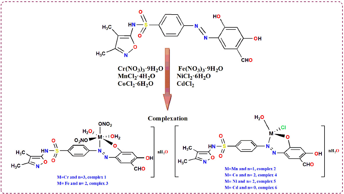 Nano‐synthesis, solid‐state structural characterization, and antimicrobial and anticancer assessment of new sulfafurazole azo dye‐based metal complexes for further pharmacological applications