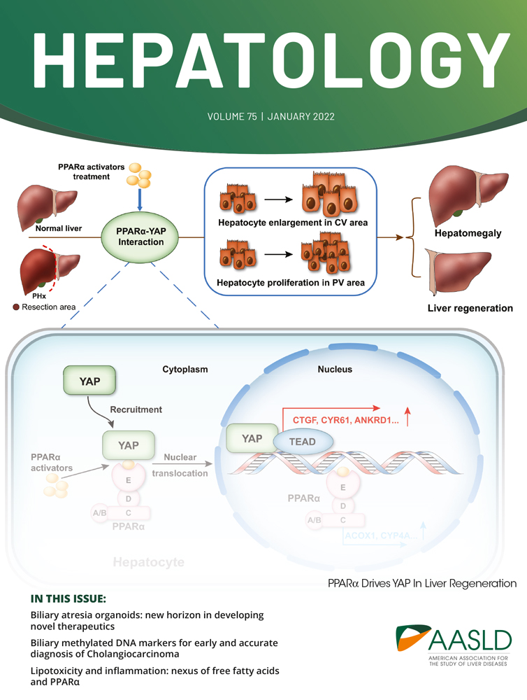 IL‐6–induced cGGNBP2 encodes a protein to promote cell growth and metastasis in intrahepatic cholangiocarcinoma