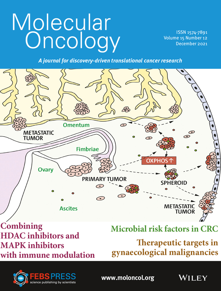 Epigenome‐wide three‐way interaction study identifies a complex pattern between TRIM27, KIAA0226 and smoking associated with overall survival of early‐stage NSCLC