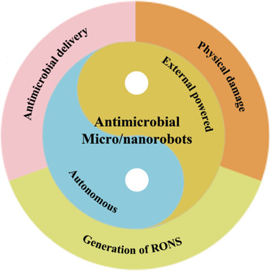 Micro‐/Nanorobots in Antimicrobial Applications: Recent Progress, Challenges, and Opportunities