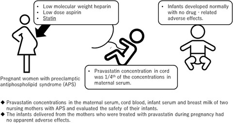 Pravastatin concentrations in maternal serum, umbilical cord serum, breast milk and neonatal serum during pregnancy and lactation: A case study