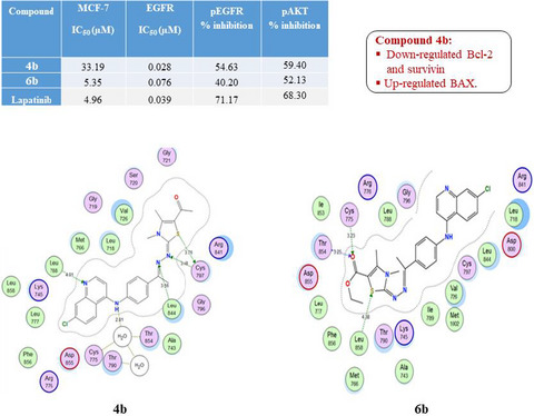 Design, Synthesis and Molecular Modeling of Quinoline Based Derivatives as Anti‐Breast Cancer Agents Targeting EGFR/AKT Signaling Pathway