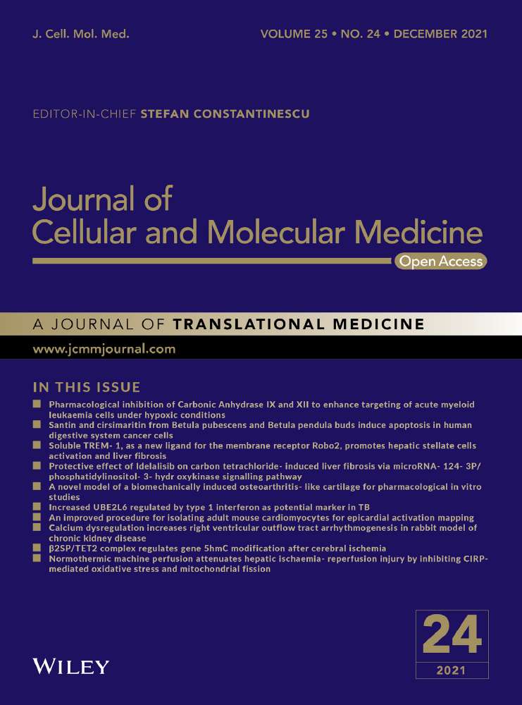 Elevated 4R‐tau in astrocytes from asymptomatic carriers of the MAPT 10+16 intronic mutation