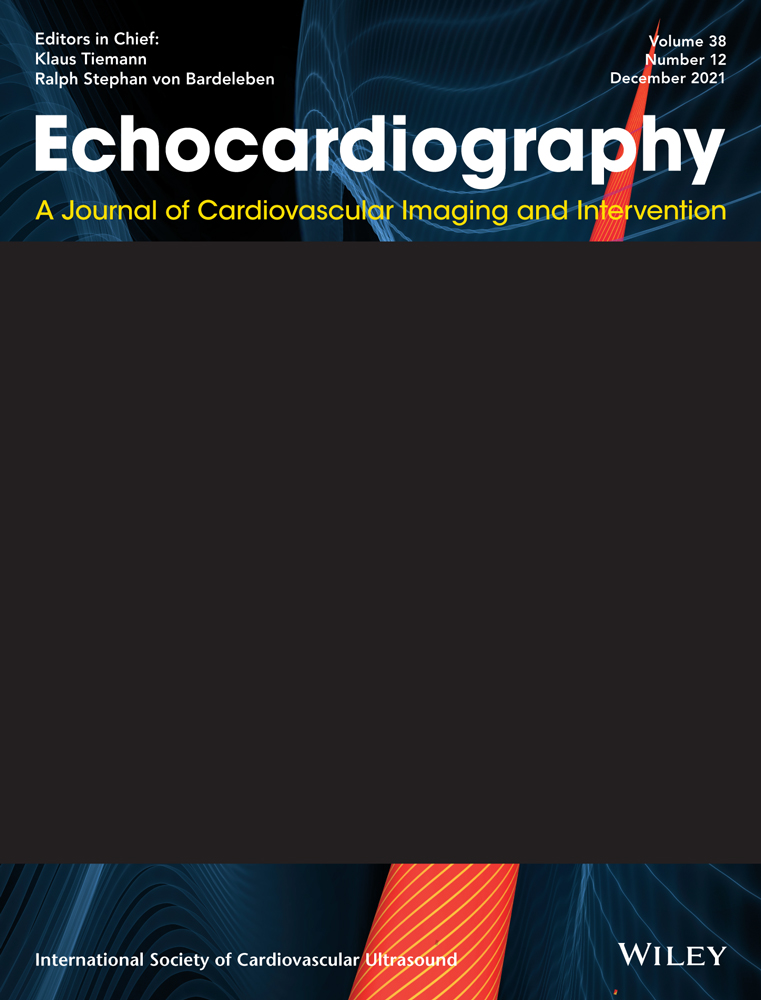 Utility of contrast‐enhanced echocardiography in the diagnosis and follow‐up of a pseudoaneurysm of the aortic arch