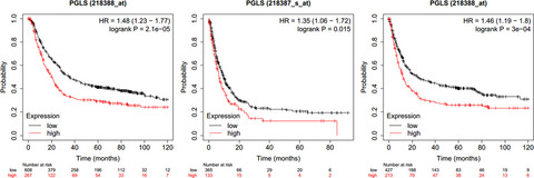 Identification and validation of PGLS as a metabolic target for early screening and prognostic monitoring of gastric cancer