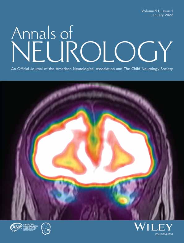 Human oligodendrocyte myelination potential; relation to age and differentiation