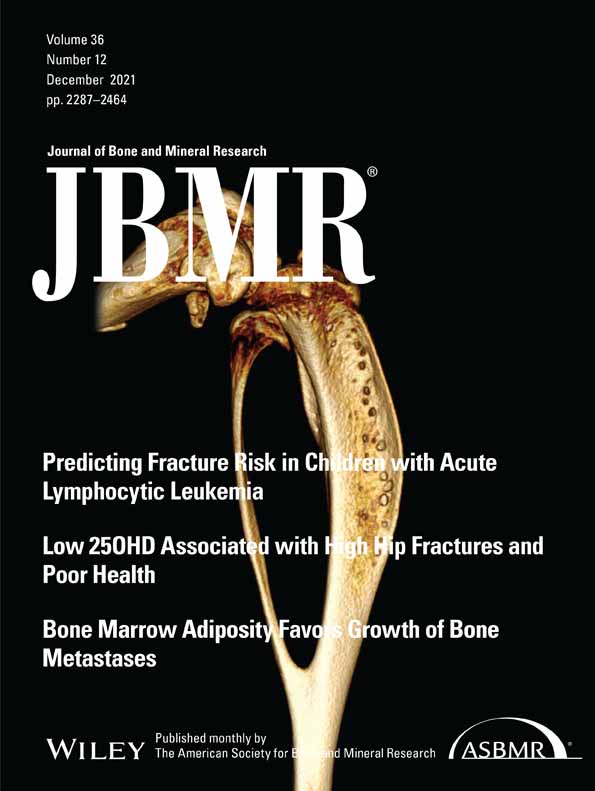 Bone microarchitecture phenotypes identified in older adults are associated with different levels of osteoporotic fracture risk