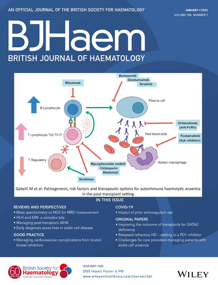 Case study of betibeglogene autotemcel gene therapy in an adult Greek patient with transfusion‐dependent β‐thalassaemia of a severe genotype