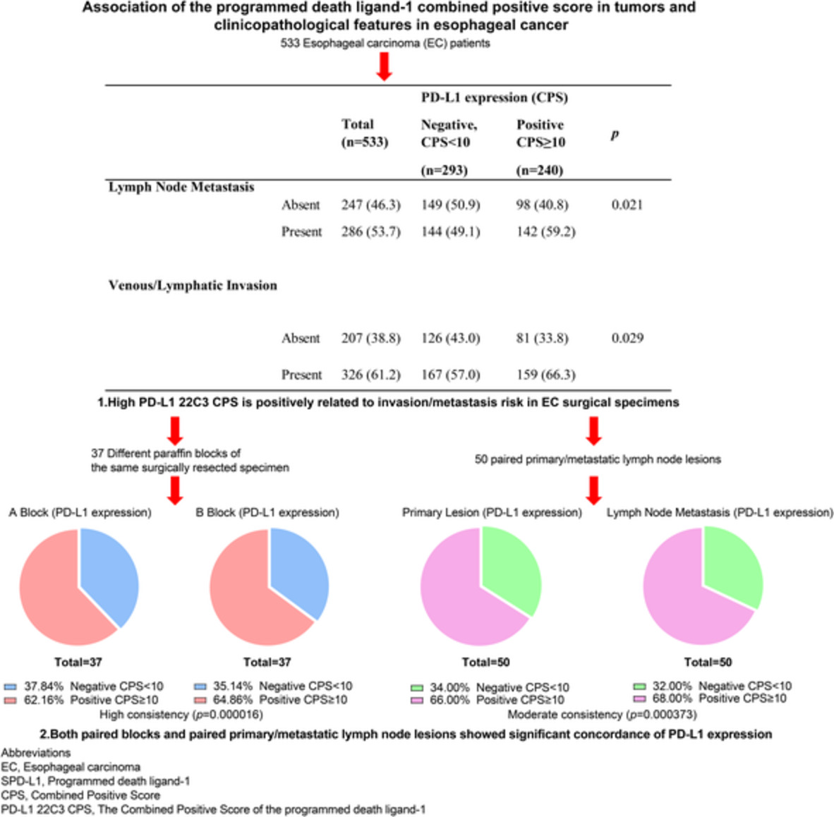 Association of the programmed death ligand‐1 combined positive score in tumors and clinicopathological features in esophageal cancer