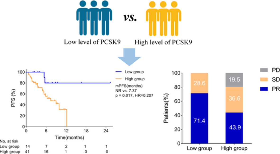 Low baseline plasma PCSK9 level is associated with good clinical outcomes of immune checkpoint inhibitors in advanced non‐small cell lung cancer