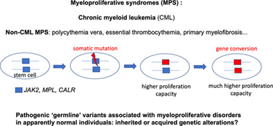 Pathogenic ‘germline’ variants associated with myeloproliferative disorders in apparently normal individuals: inherited or acquired genetic alterations?